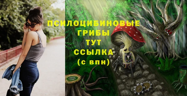 ешки Алексеевка