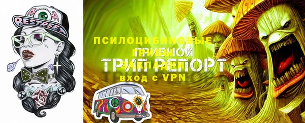 ешки Алексеевка