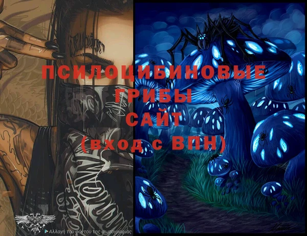 ГАЛЛЮЦИНОГЕННЫЕ ГРИБЫ Саяногорск