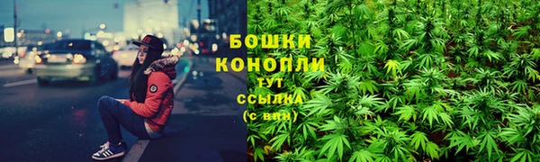 2c-b Алзамай