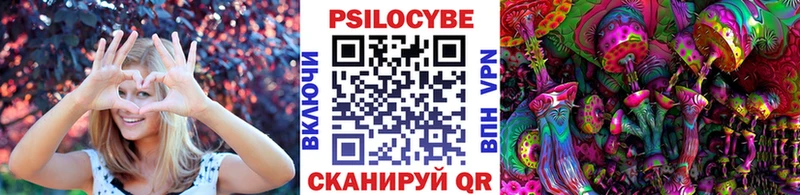 где найти   OMG как зайти  Псилоцибиновые грибы MAGIC MUSHROOMS  Дюртюли 