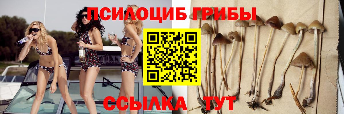 Псилоцибиновые грибы мицелий  Вход с VPN  хочу   Дюртюли 